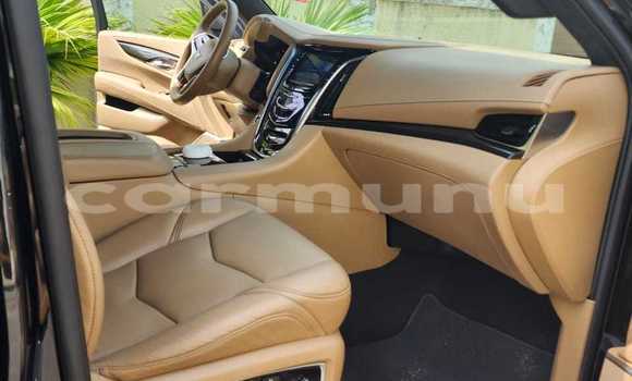 Acheter Occasion Voiture Cadillac Escalade Noir à Pointe–Noire, Région du Kouilou Acheter Occasion Voiture Cadillac Escalade Noir à Pointe–Noire, Région du Kouilou