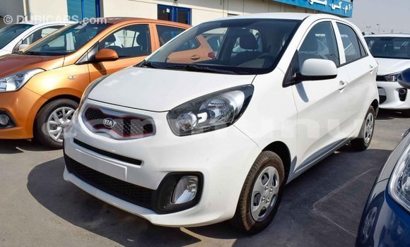 Buy Import Kia Picanto White Car in Import - Dubai in Region of Bouenza Buy Import Kia Picanto White Car in Import - Dubai in Region of Bouenza
