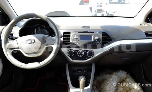 Buy Import Kia Picanto White Car in Import - Dubai in Region of Bouenza Buy Import Kia Picanto White Car in Import - Dubai in Region of Bouenza
