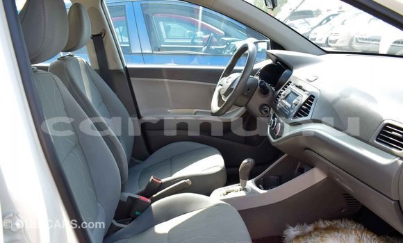 Buy Import Kia Picanto White Car in Import - Dubai in Region of Bouenza Buy Import Kia Picanto White Car in Import - Dubai in Region of Bouenza