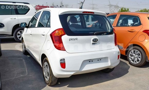 Buy Import Kia Picanto White Car in Import - Dubai in Region of Bouenza Buy Import Kia Picanto White Car in Import - Dubai in Region of Bouenza