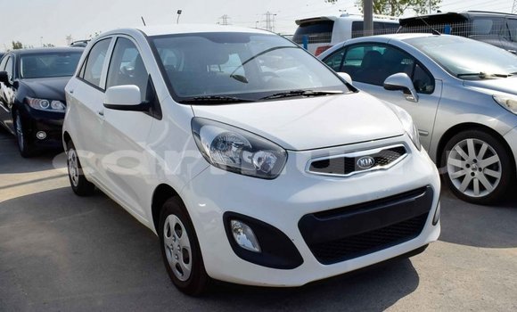 Buy Import Kia Picanto White Car in Import - Dubai in Region of Bouenza Buy Import Kia Picanto White Car in Import - Dubai in Region of Bouenza