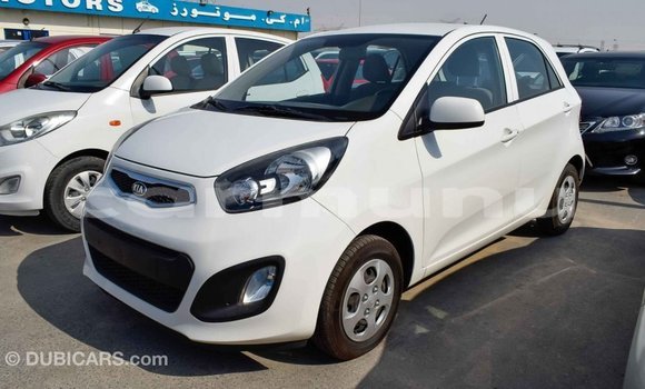 Buy Import Kia Picanto White Car in Import - Dubai in Region of Bouenza Buy Import Kia Picanto White Car in Import - Dubai in Region of Bouenza