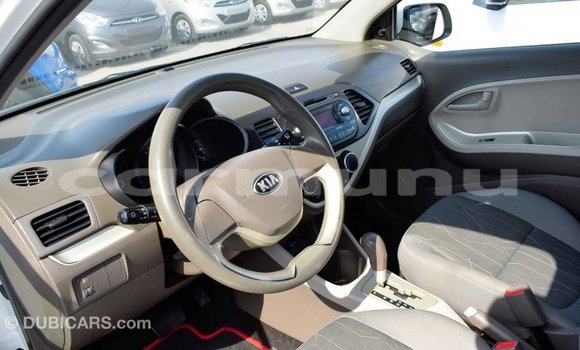 Buy Import Kia Picanto White Car in Import - Dubai in Region of Bouenza Buy Import Kia Picanto White Car in Import - Dubai in Region of Bouenza