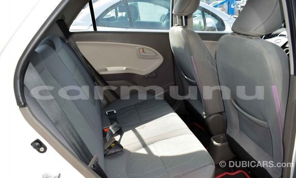 Buy Import Kia Picanto White Car in Import - Dubai in Region of Bouenza Buy Import Kia Picanto White Car in Import - Dubai in Region of Bouenza