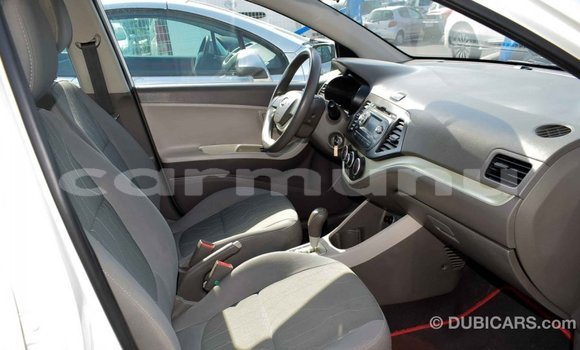 Buy Import Kia Picanto White Car in Import - Dubai in Region of Bouenza Buy Import Kia Picanto White Car in Import - Dubai in Region of Bouenza