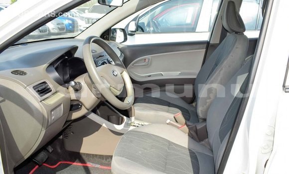 Buy Import Kia Picanto White Car in Import - Dubai in Region of Bouenza Buy Import Kia Picanto White Car in Import - Dubai in Region of Bouenza