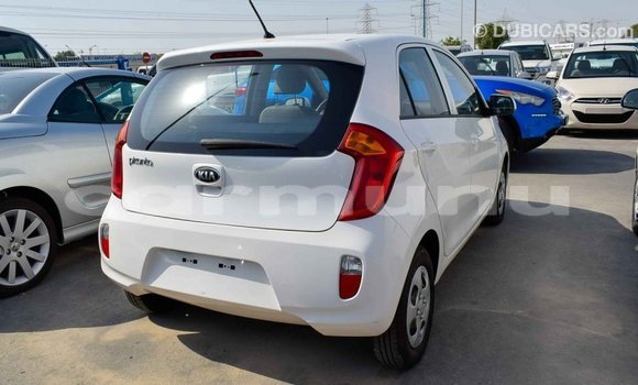 Buy Import Kia Picanto White Car in Import - Dubai in Region of Bouenza Buy Import Kia Picanto White Car in Import - Dubai in Region of Bouenza
