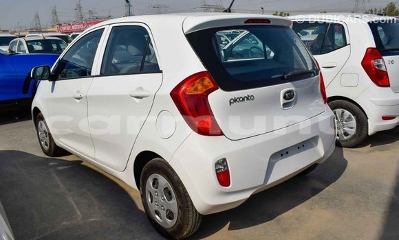 Buy Import Kia Picanto White Car in Import - Dubai in Region of Bouenza Buy Import Kia Picanto White Car in Import - Dubai in Region of Bouenza