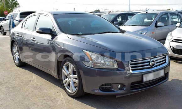 Buy Import Nissan Maxima Other Car in Import - Dubai in Region of Bouenza Buy Import Nissan Maxima Other Car in Import - Dubai in Region of Bouenza