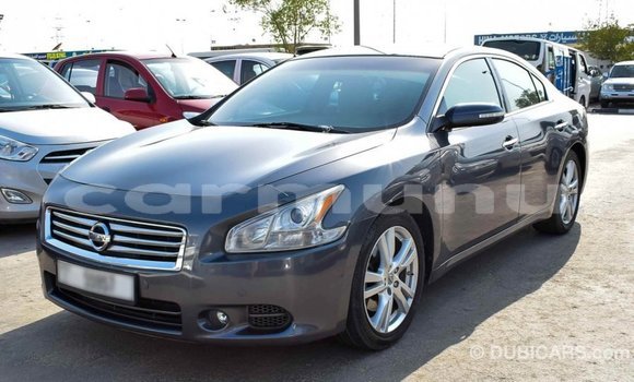 Buy Import Nissan Maxima Other Car in Import - Dubai in Region of Bouenza Buy Import Nissan Maxima Other Car in Import - Dubai in Region of Bouenza