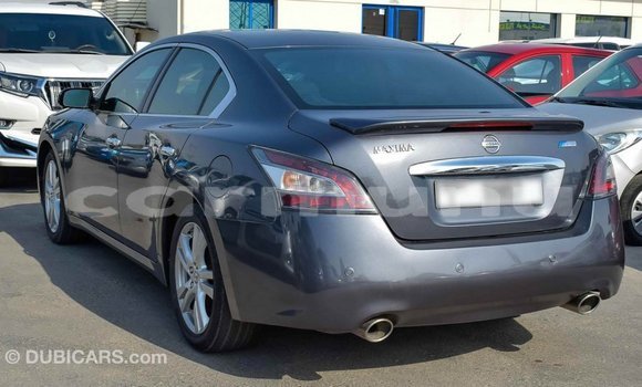 Buy Import Nissan Maxima Other Car in Import - Dubai in Region of Bouenza Buy Import Nissan Maxima Other Car in Import - Dubai in Region of Bouenza