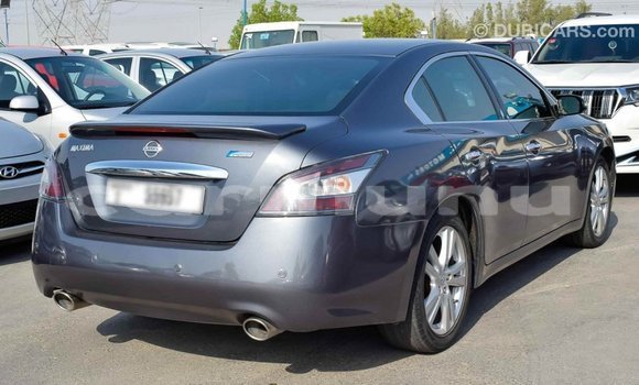 Buy Import Nissan Maxima Other Car in Import - Dubai in Region of Bouenza Buy Import Nissan Maxima Other Car in Import - Dubai in Region of Bouenza