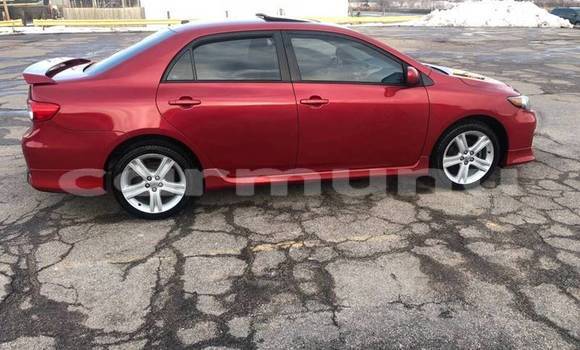 Buy Used Toyota Corolla Red Car in Brazzaville in Municipality of Brazzaville Buy Used Toyota Corolla Red Car in Brazzaville in Municipality of Brazzaville