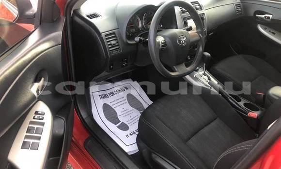 Buy Used Toyota Corolla Red Car in Brazzaville in Municipality of Brazzaville Buy Used Toyota Corolla Red Car in Brazzaville in Municipality of Brazzaville