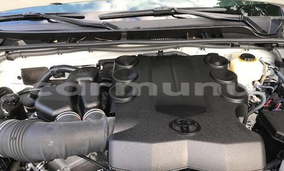 Buy Used Toyota 4Runner Green Car in Brazzaville in Municipality of Brazzaville Buy Used Toyota 4Runner Green Car in Brazzaville in Municipality of Brazzaville