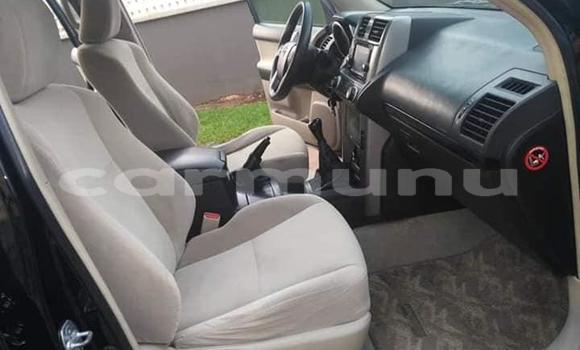 Buy Used Toyota Land Cruiser Prado White Car in Brazzaville in Municipality of Brazzaville Buy Used Toyota Land Cruiser Prado White Car in Brazzaville in Municipality of Brazzaville