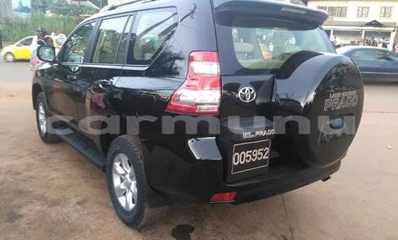 Buy Used Toyota Land Cruiser Prado White Car in Brazzaville in Municipality of Brazzaville Buy Used Toyota Land Cruiser Prado White Car in Brazzaville in Municipality of Brazzaville