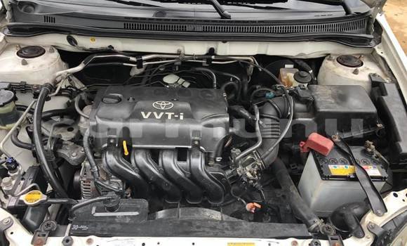 Buy Used Toyota Corolla Silver Car in Brazzaville in Municipality of Brazzaville Buy Used Toyota Corolla Silver Car in Brazzaville in Municipality of Brazzaville