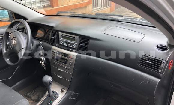 Buy Used Toyota Corolla Silver Car in Brazzaville in Municipality of Brazzaville Buy Used Toyota Corolla Silver Car in Brazzaville in Municipality of Brazzaville