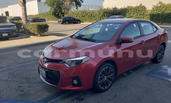 Buy Used Toyota Corolla Red Car in Brazzaville in Municipality of Brazzaville Buy Used Toyota Corolla Red Car in Brazzaville in Municipality of Brazzaville