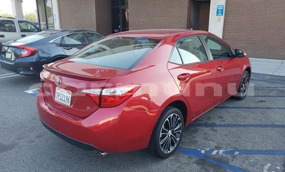 Buy Used Toyota Corolla Red Car in Brazzaville in Municipality of Brazzaville Buy Used Toyota Corolla Red Car in Brazzaville in Municipality of Brazzaville