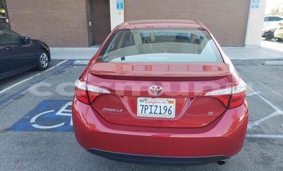 Buy Used Toyota Corolla Red Car in Brazzaville in Municipality of Brazzaville Buy Used Toyota Corolla Red Car in Brazzaville in Municipality of Brazzaville