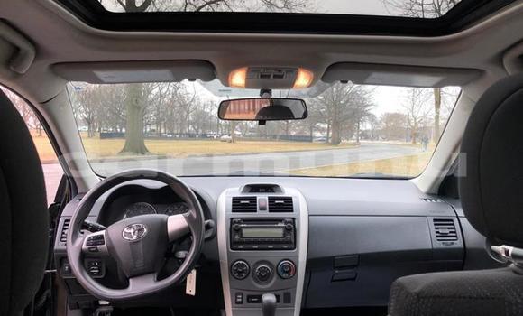 Buy Used Toyota Corolla White Car in Brazzaville in Municipality of Brazzaville Buy Used Toyota Corolla White Car in Brazzaville in Municipality of Brazzaville