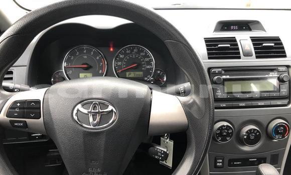 Buy Used Toyota Corolla White Car in Brazzaville in Municipality of Brazzaville Buy Used Toyota Corolla White Car in Brazzaville in Municipality of Brazzaville
